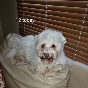 Meet your Posher, Eng